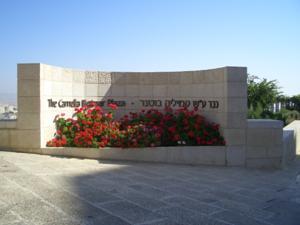 CIMG1245.JPG