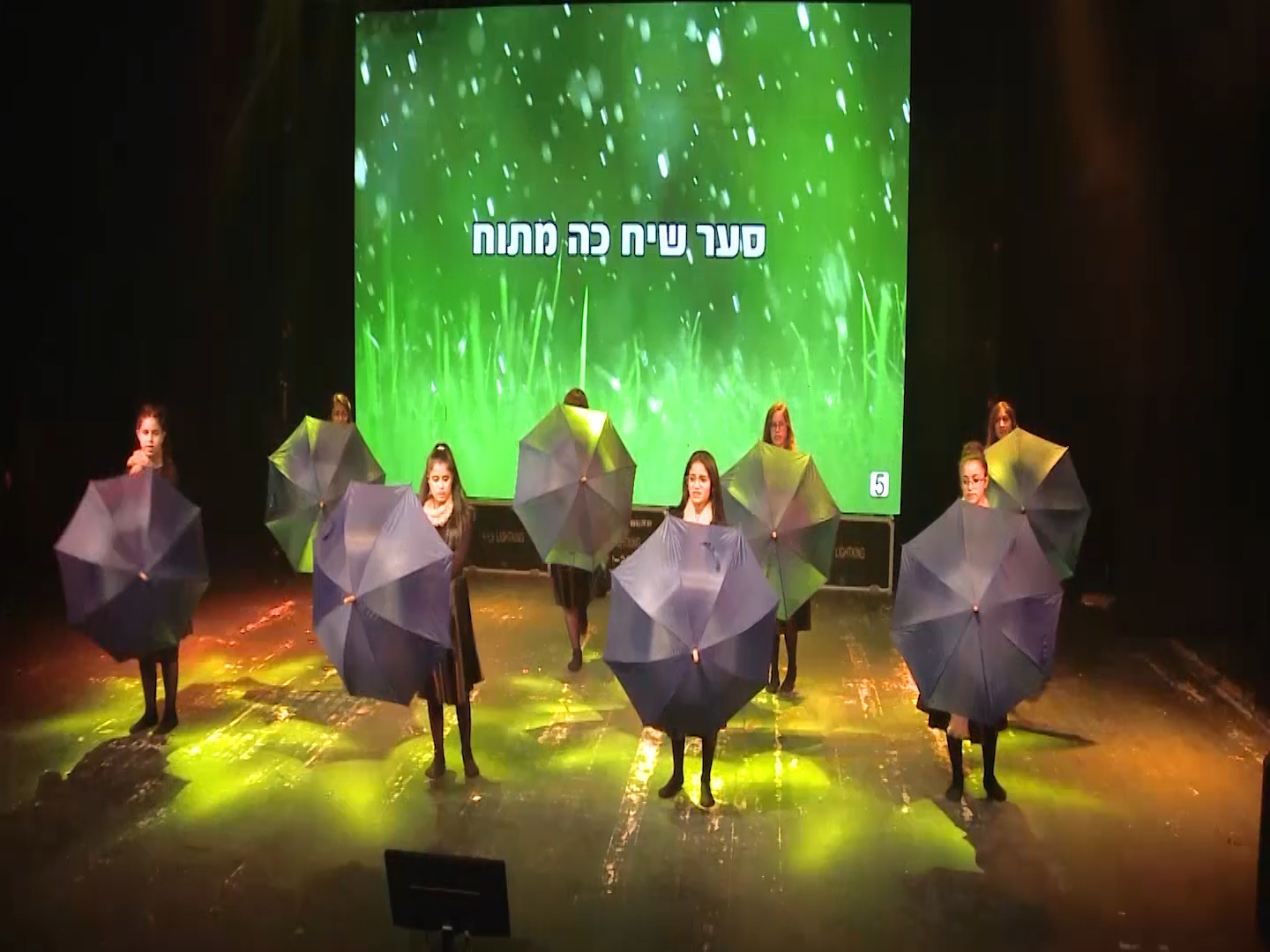 מופע פלאשבק - תמונה 22