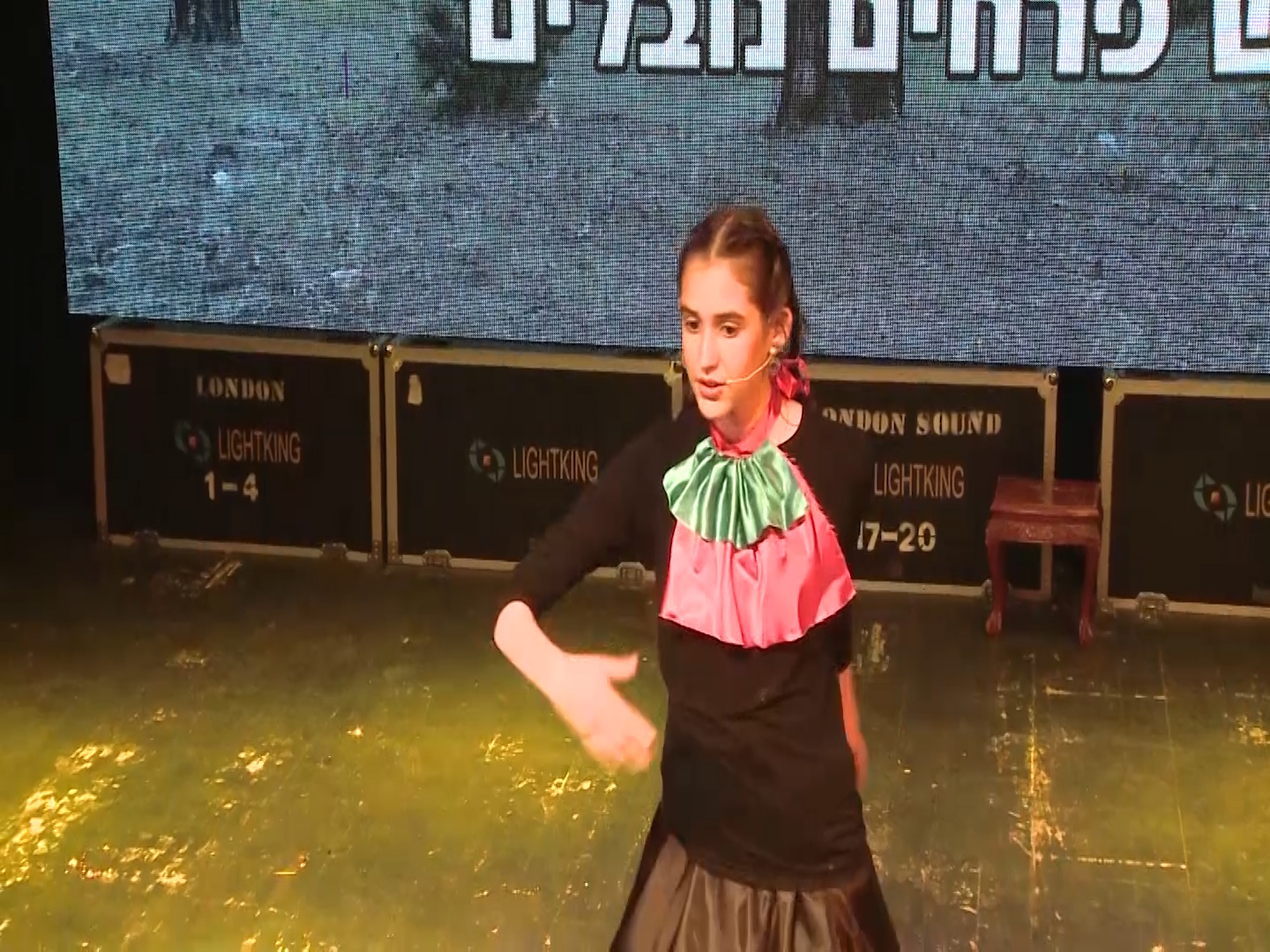 מופע פלאשבק - תמונה 25