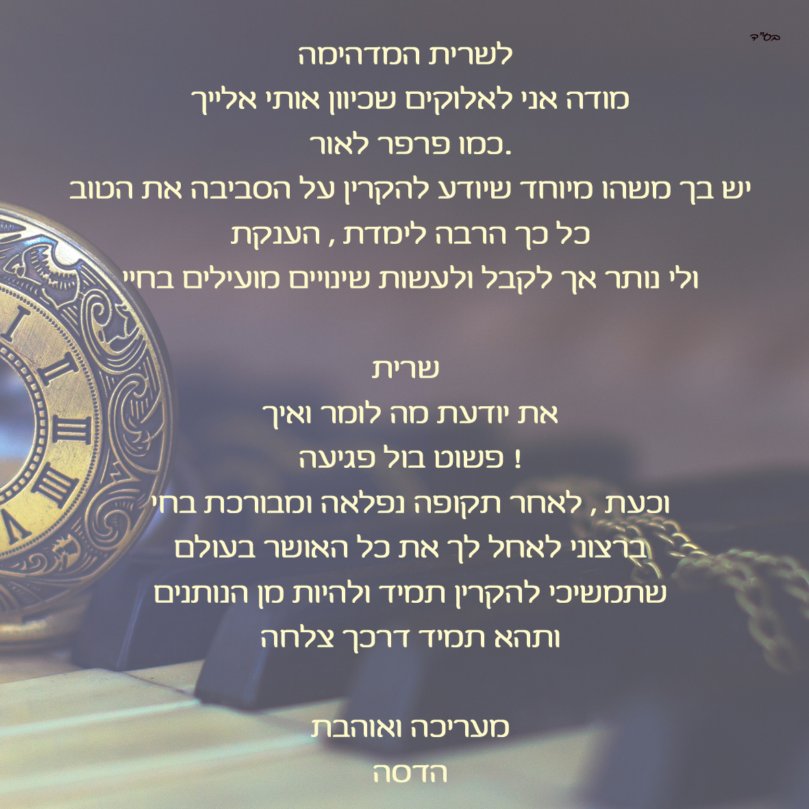 גלריה 4