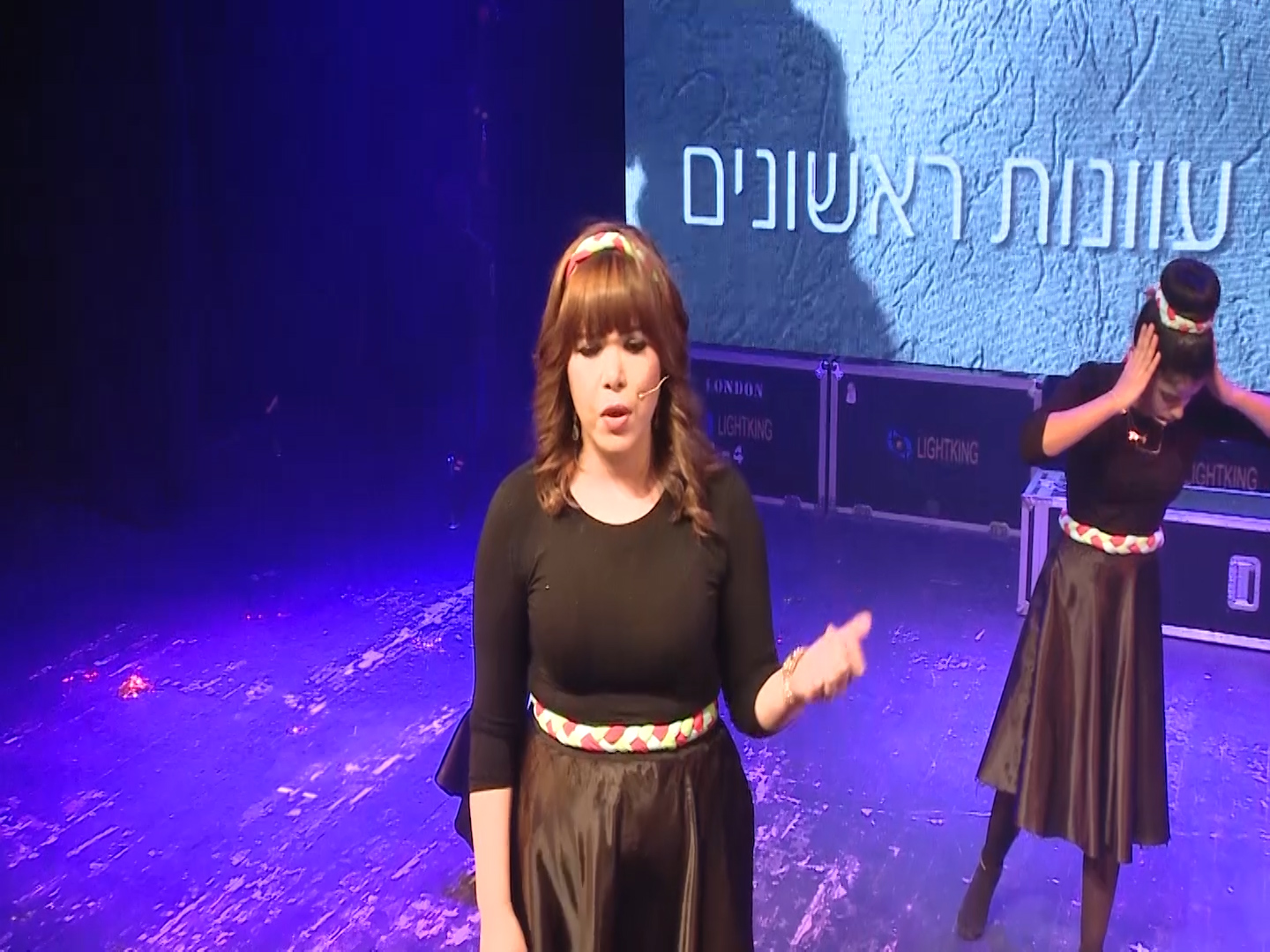 מופע פלאשבק - תמונה 46