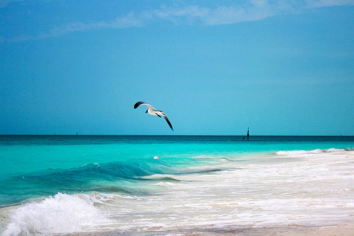 Cayo Largo