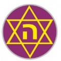 לוגו מועדון ספורט 19