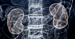 Board-Certified Nephrologists