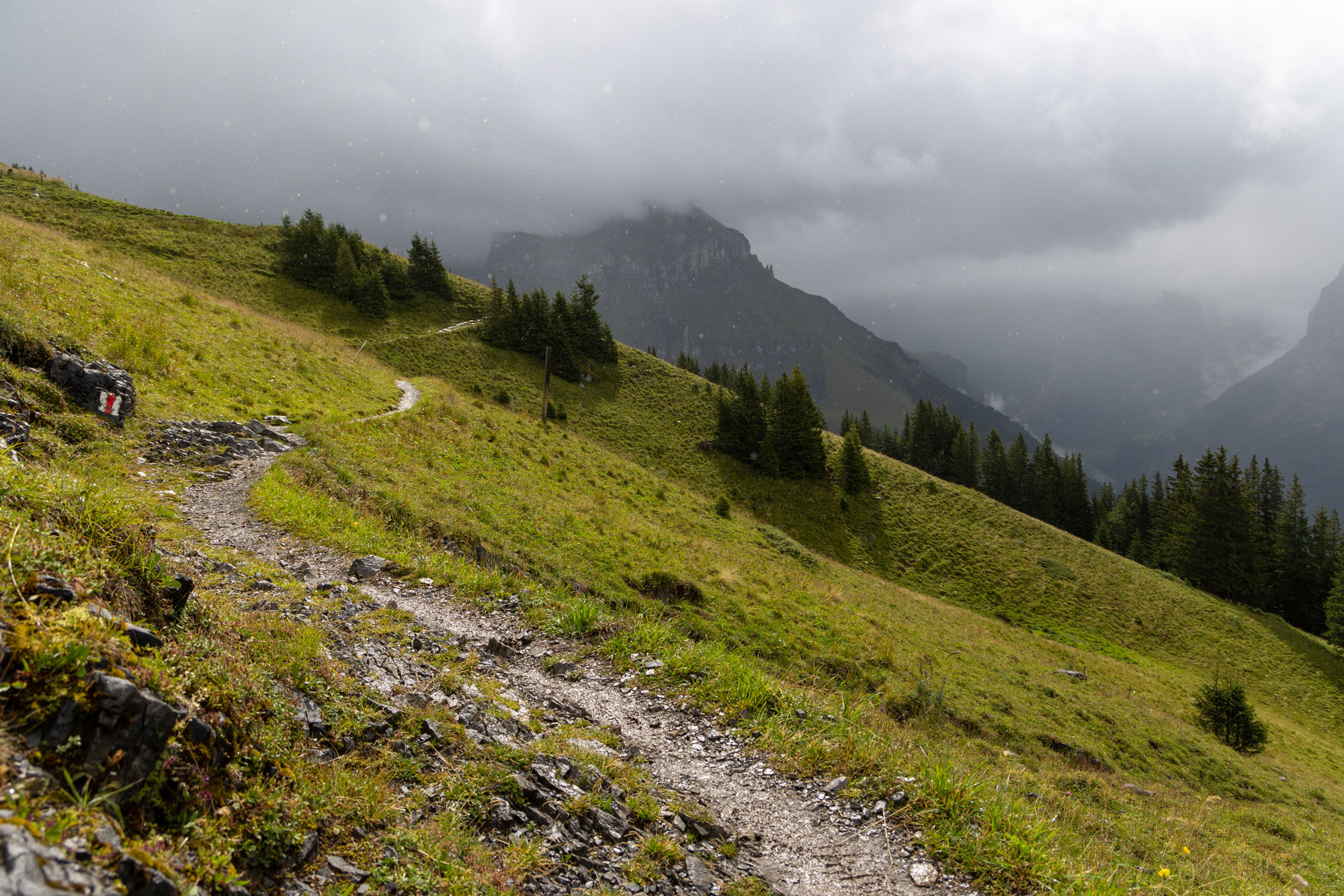 Berglauf Engelberg 2023 – Bild 153