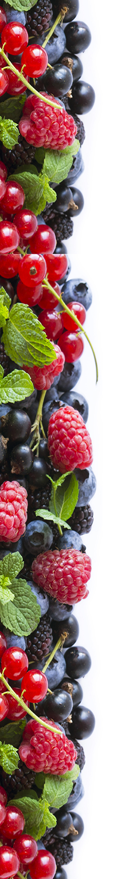 Fresh fruit and vegetables