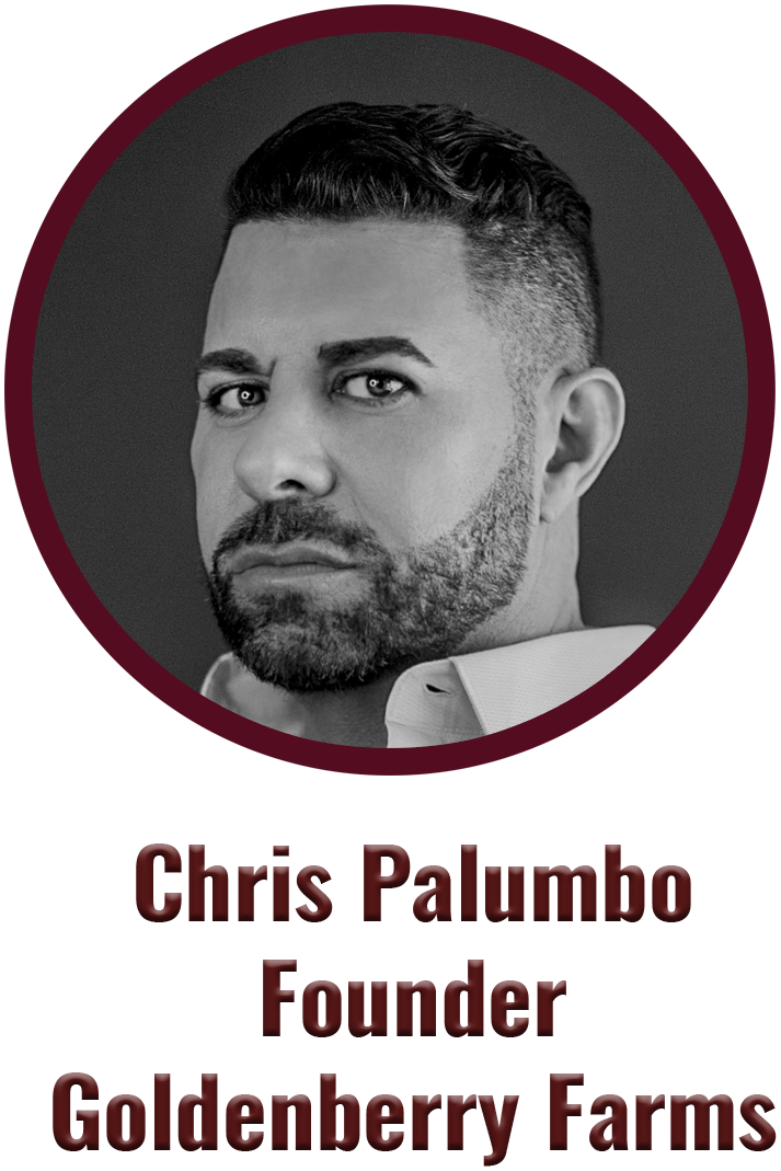 Chris Palumbo