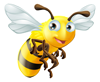 Produce Buzz Blog