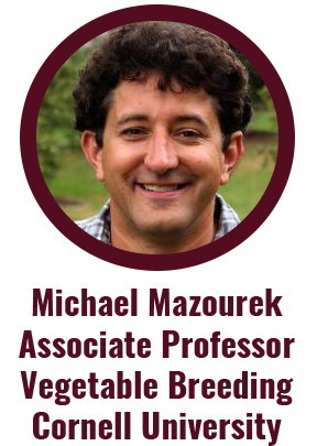 Michael Mazourek Cornell University