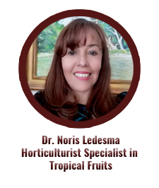 Dr. Noris Ledesma