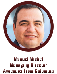 Manuel Michel