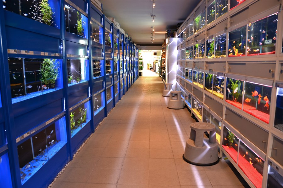 Robert Knops Vijver en Aquarium, Geleen