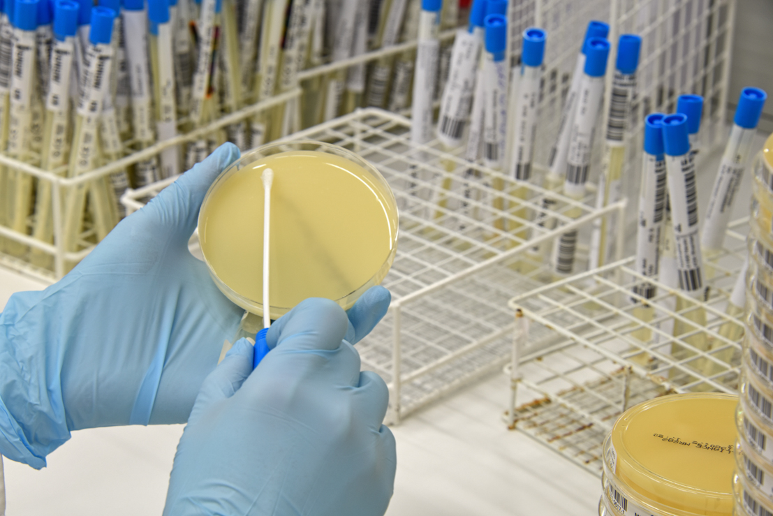Euregio Laboratory Services, Maastricht