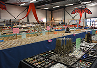 E.A.R.T.H. Mineralen, Nederweert
