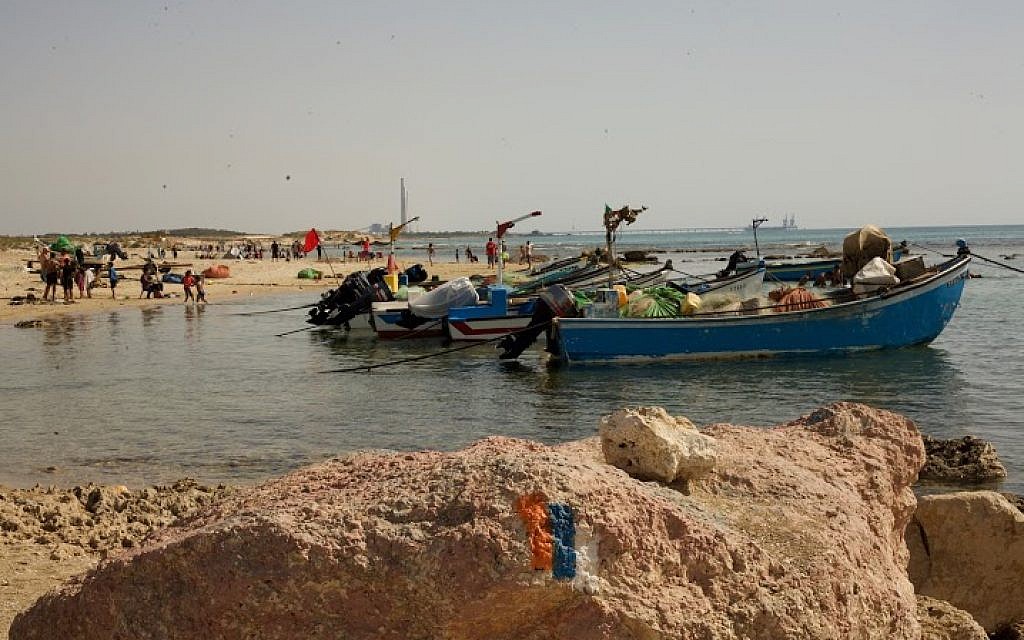 משחקים וסיורים מיוחדים