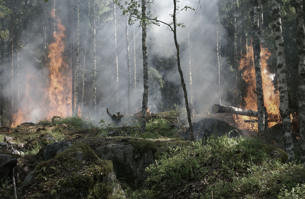 INCENDIOS