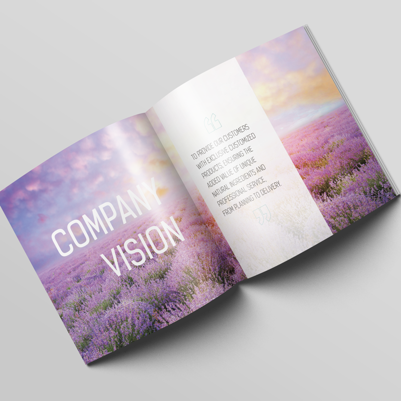 Company Brochure