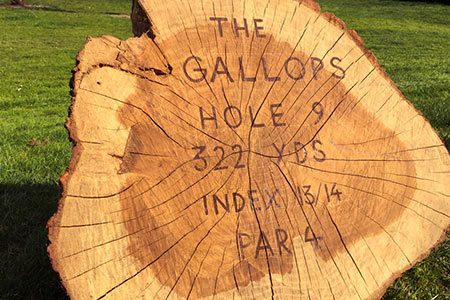 The Gallops golf course