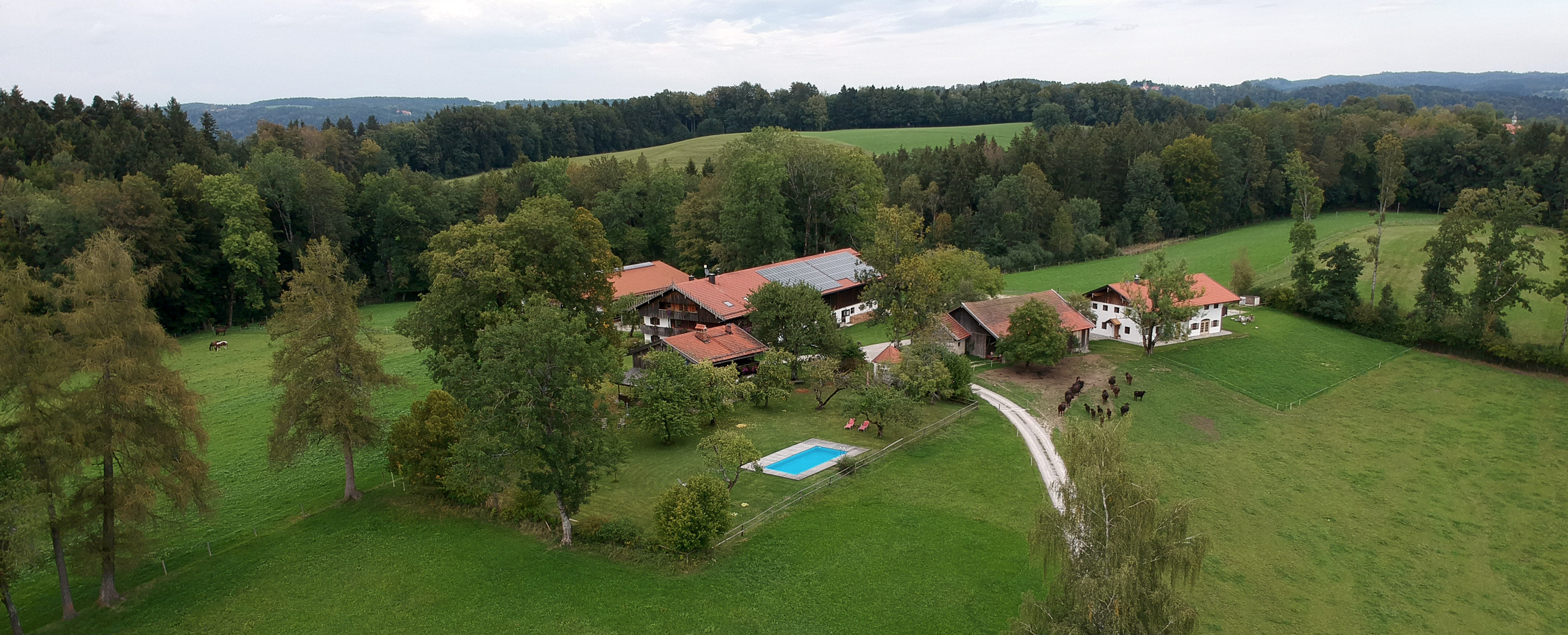 Ferienwohnung Bauernhof