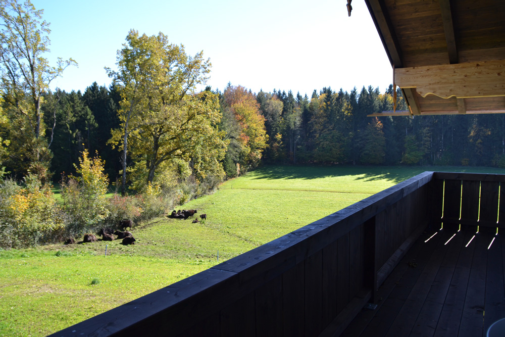 Ferienwohnung Chalet Wendelstein - Bild 15