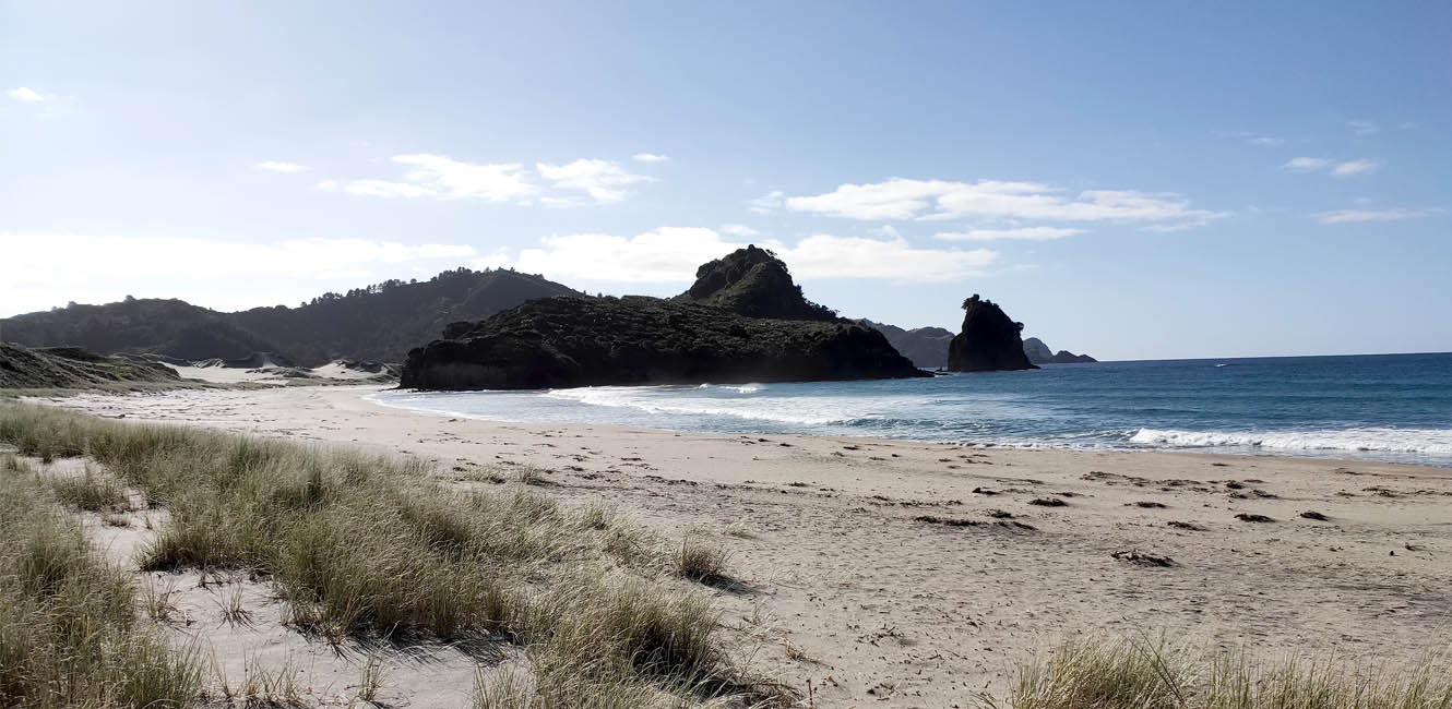 Coastal view from the Motubikes route