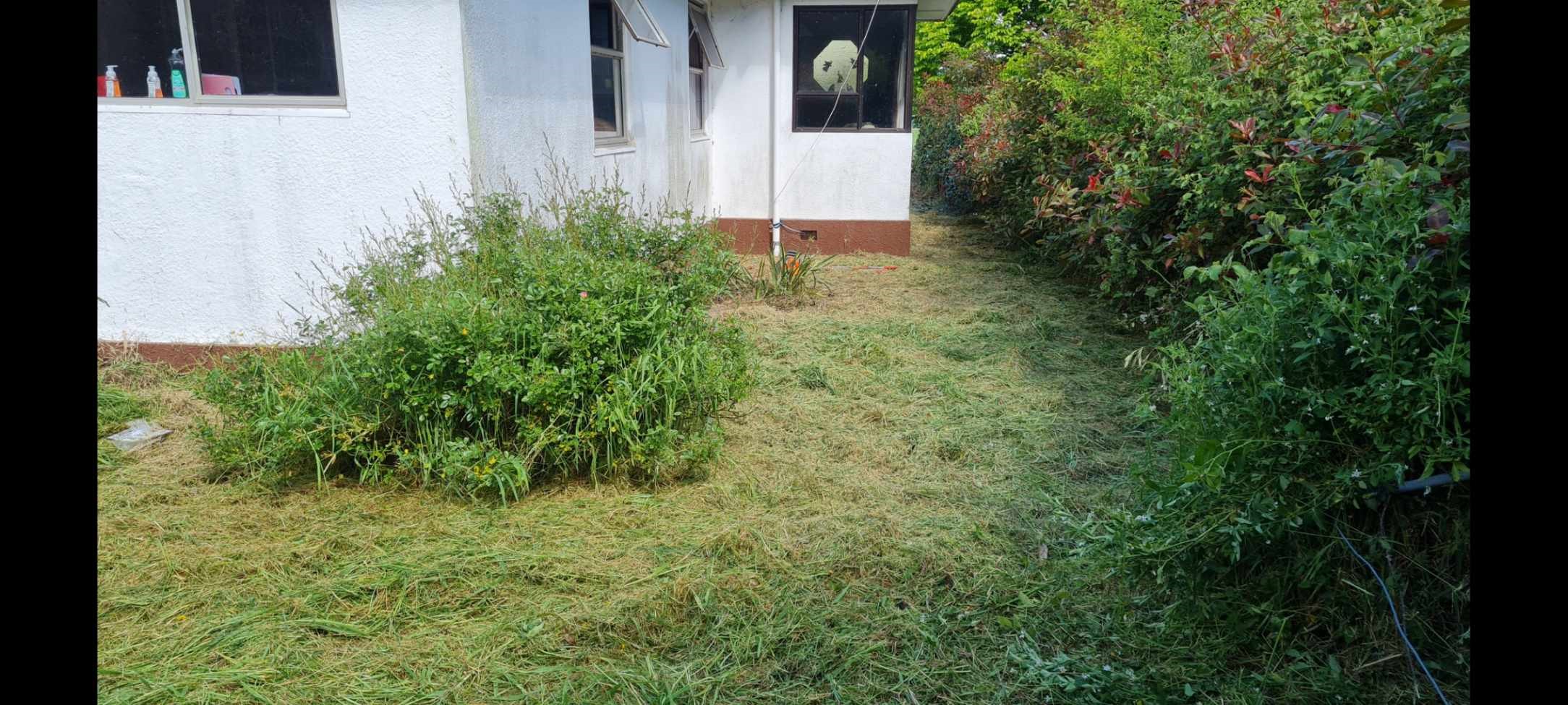 Ruahine Property Works limited - maintenanceg cleanup garden
