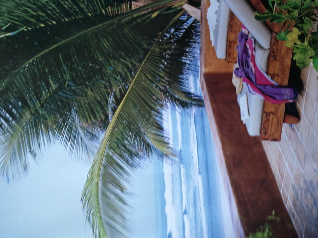 Outdoor — Studio Taarahi