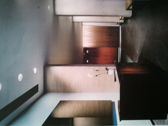 Commercial Spaces — Studio Taarahi