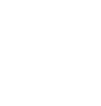 small white SLP starburst logo 