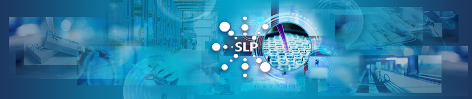 Privacy Policy Image of Strategic Lab Partners 