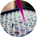 bulk to clinic kitting solution image