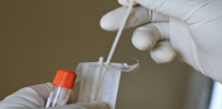 Bulk USA manufactured swabs 