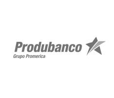 Cliente de CreditForce 6