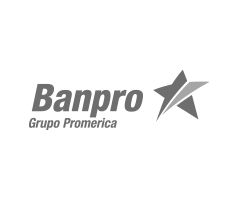 Cliente de CreditForce 9