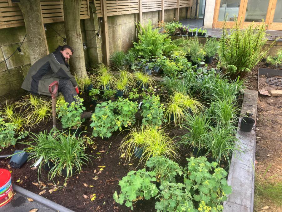 The Urban Gardeners
