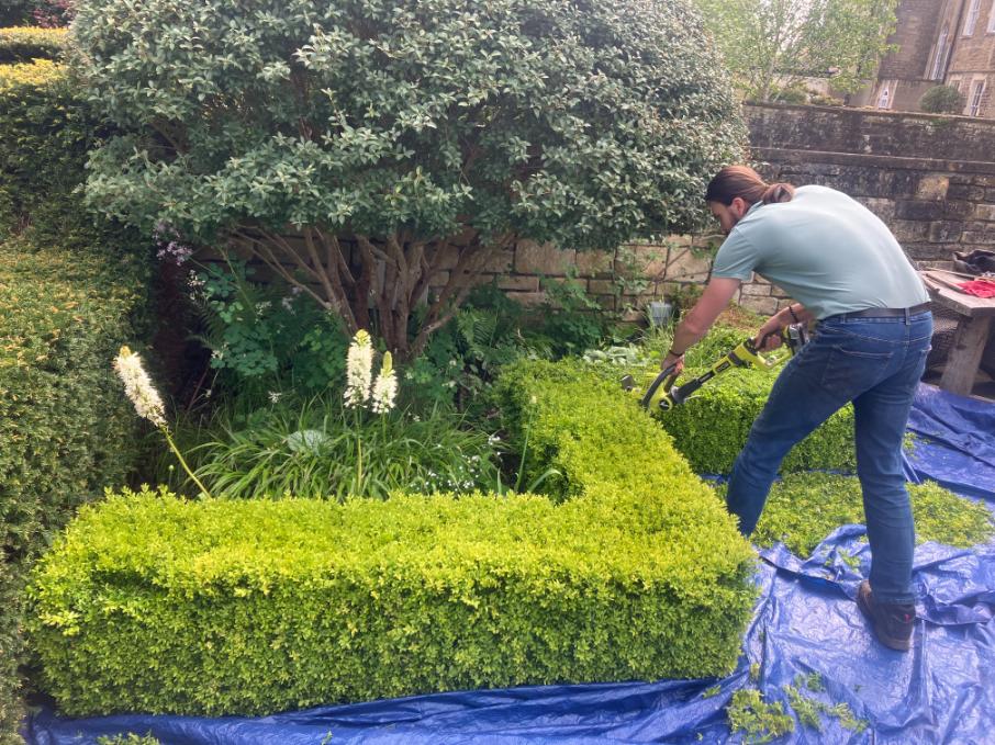 The Urban Gardeners
