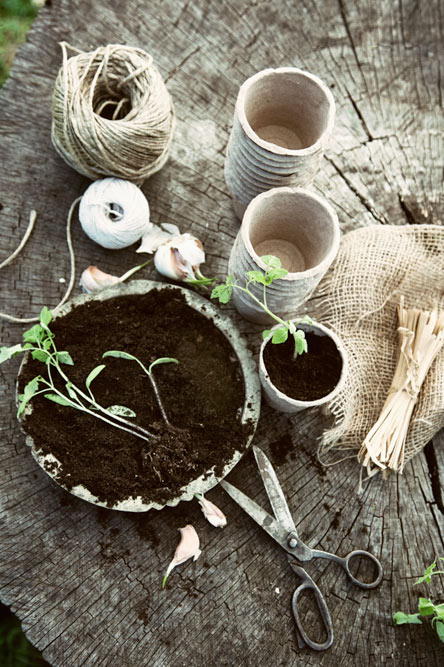 The Urban Garden | Garden Centre Bath