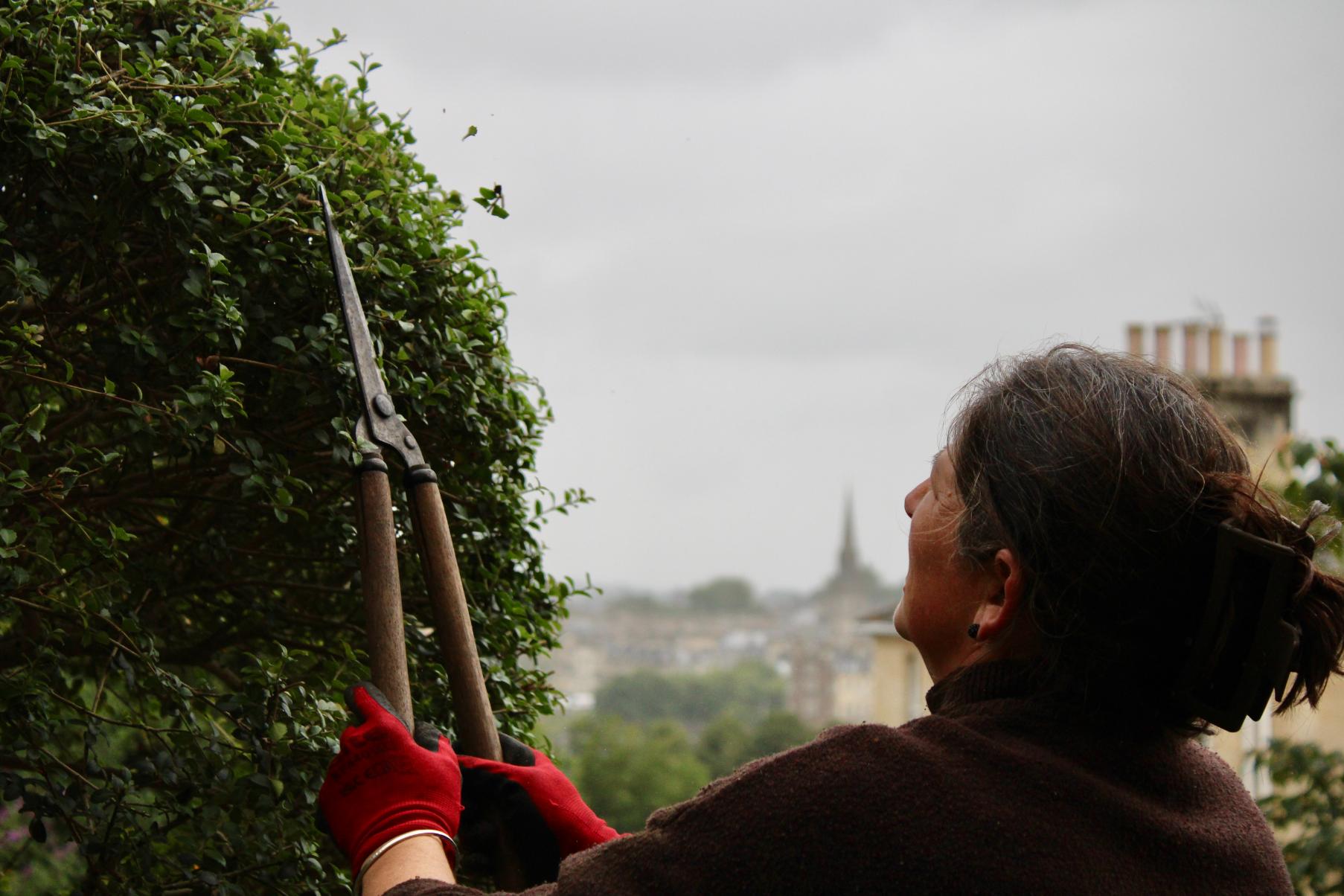 The Urban Gardeners