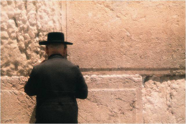 בית חכם שליטה על בתי כנסת, בתי אבות וישיבות חכמים לחיסכון אנרגיה