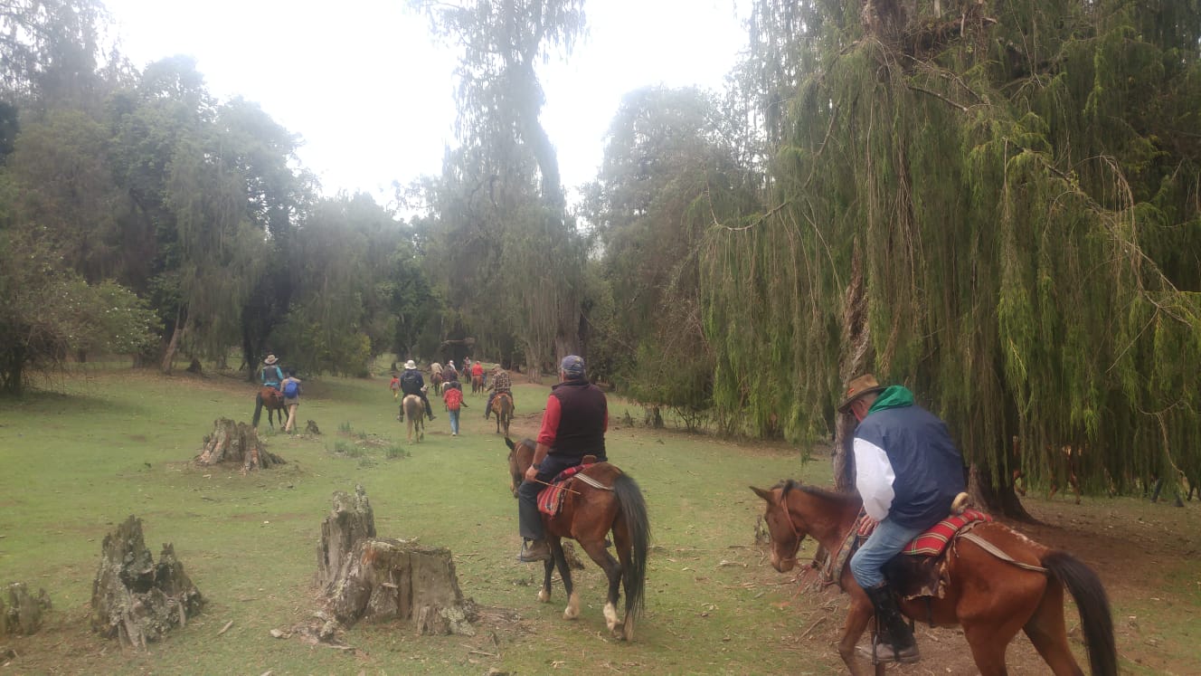 טיולי סוסים באתיופיה