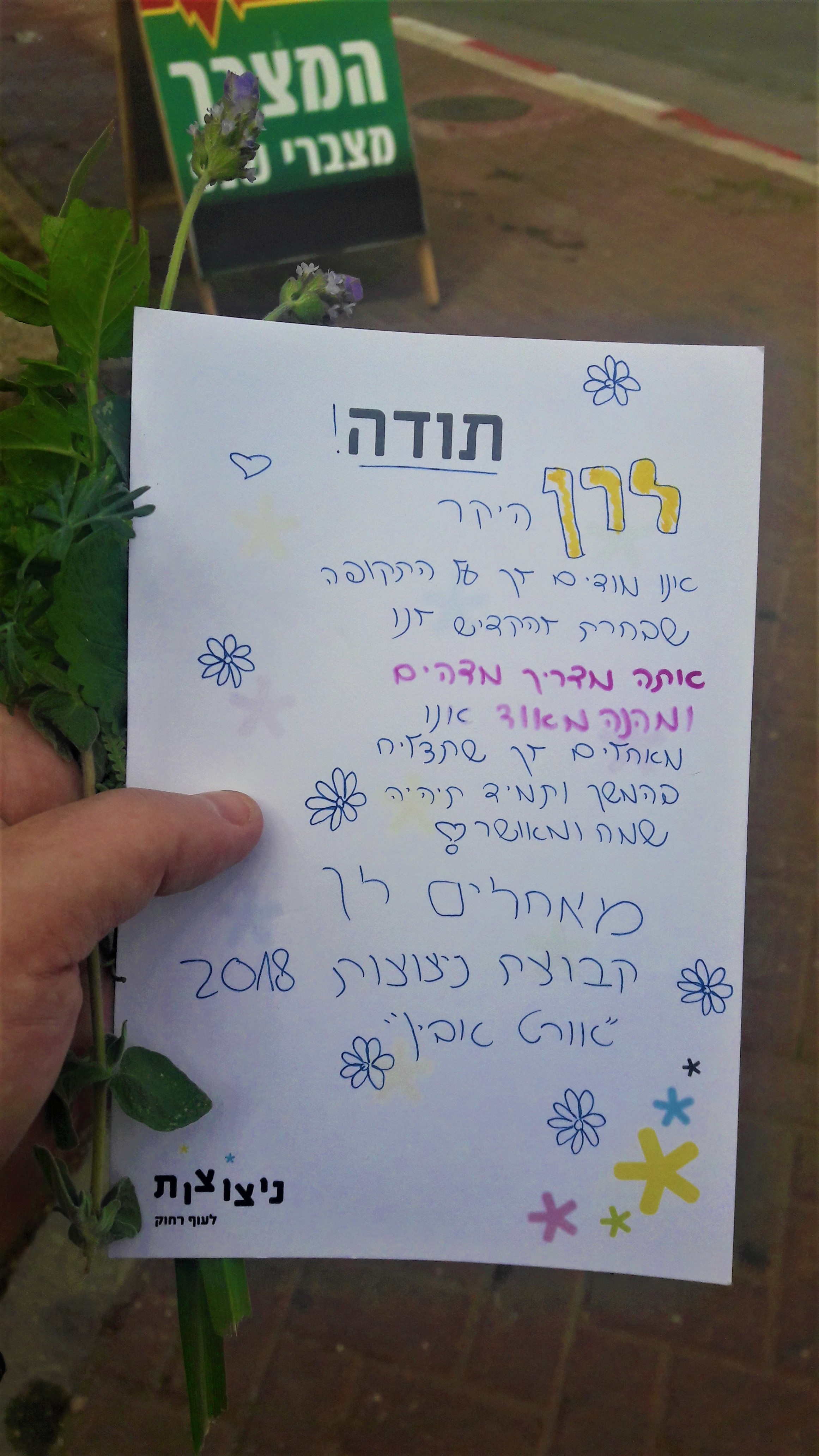 המלצה 19