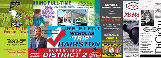 Government and Community Experience and Bountiful Results Concerning Education, Fund Raising, Health Fairs, Public Elections, and Workforce Recruitment