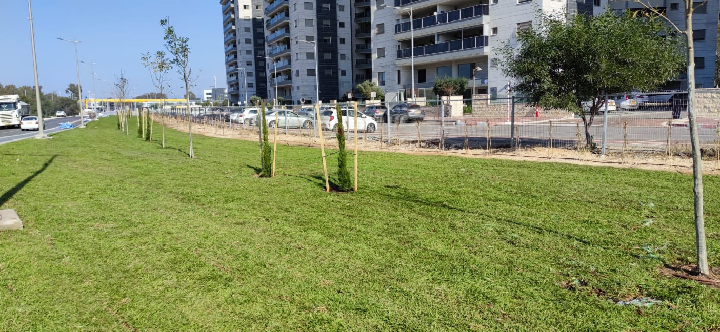 שצפ בקרית ביאליק