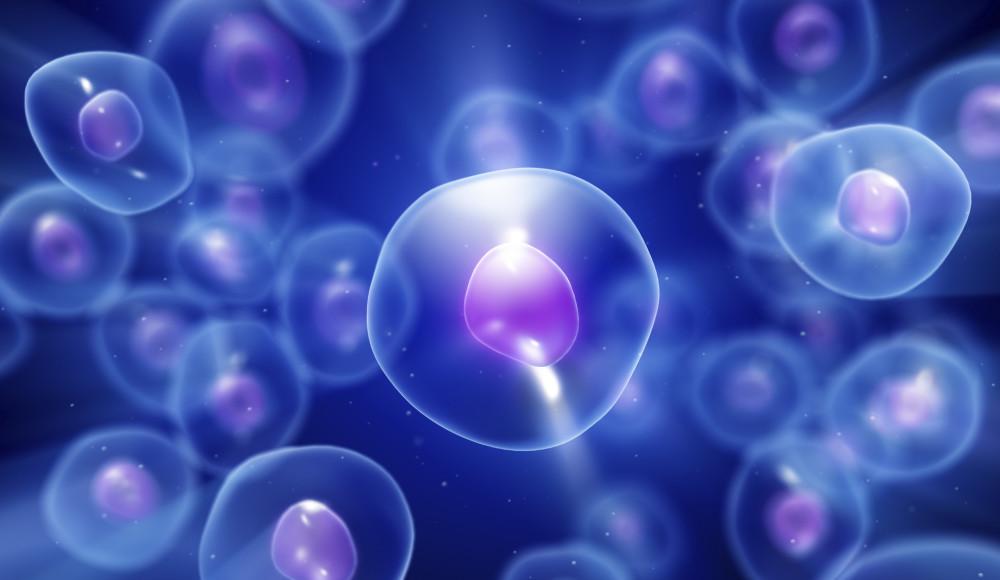 Fertigo Medical
