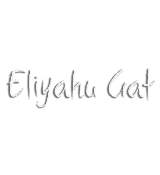 Eliyahu Gat