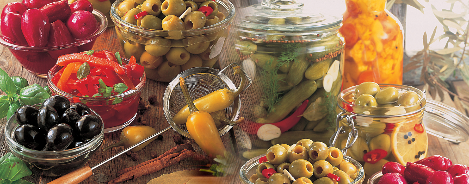Canned motola