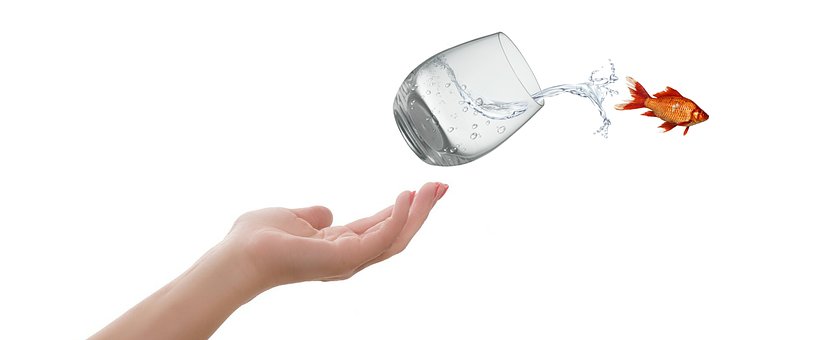 לא לדרוך על הקווים