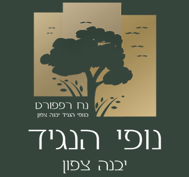 נח רפפורט חברה ליזמות בניה