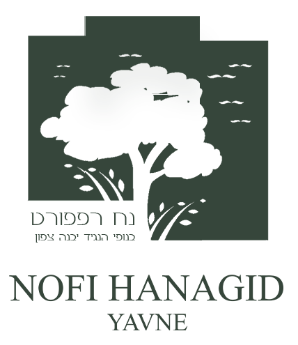 נופי הנגיד יבנה