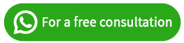 WhatsApp Icon